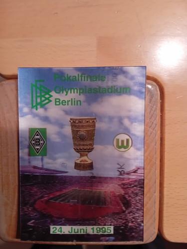 Dfb pokalfinale 1995 - dfb-pokalfinale,